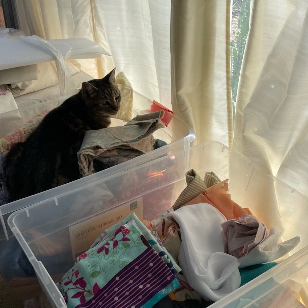 Meet your Posher, Isabella